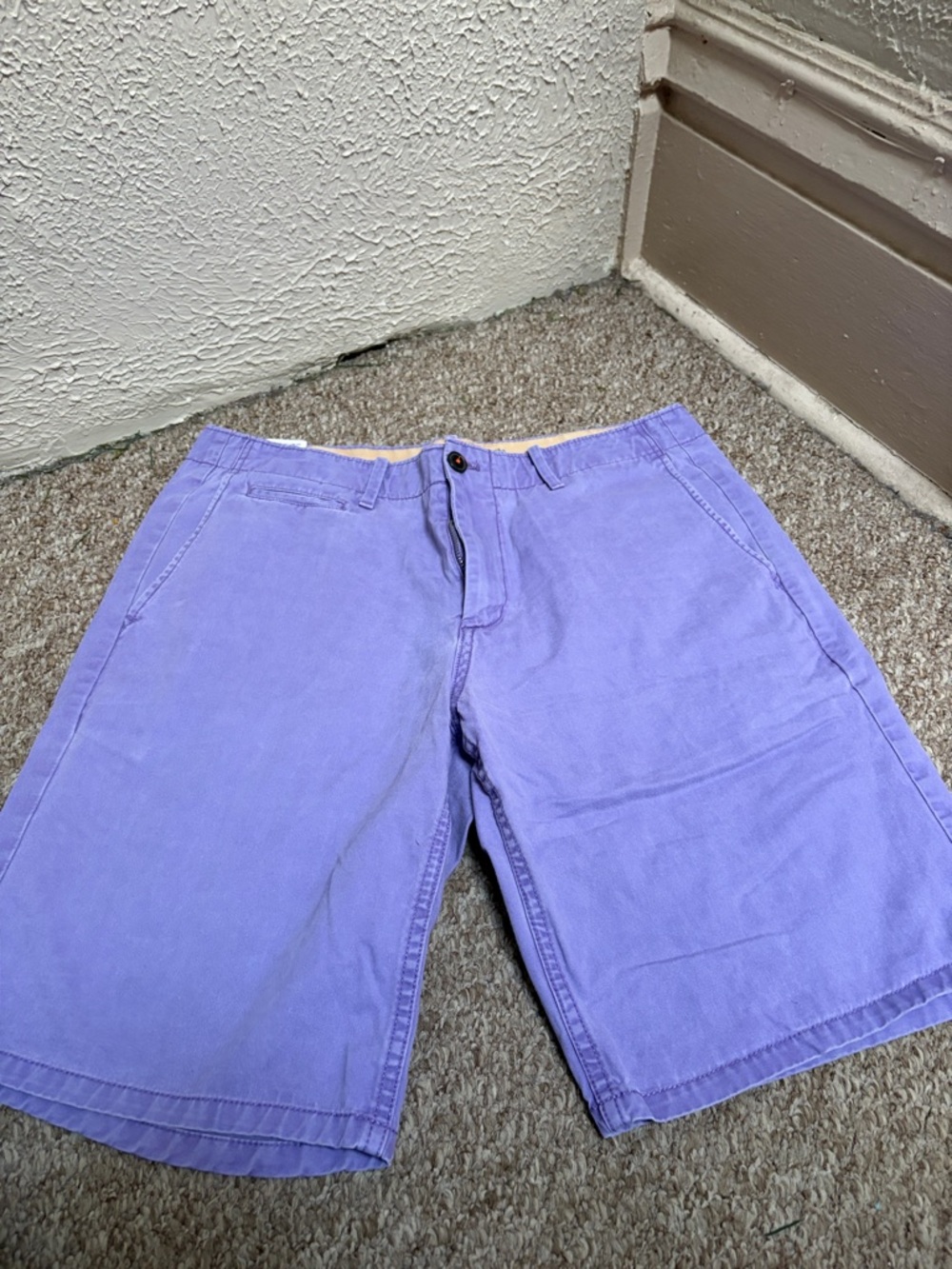 Men's Lavender Casual Shorts